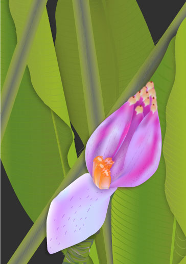 Banana flower